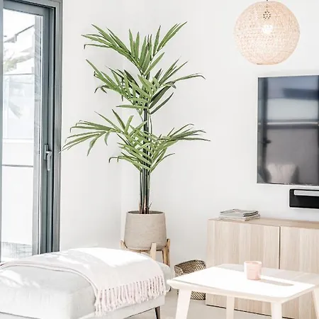 Penthouse With 3 Bedrooms אסטפונה